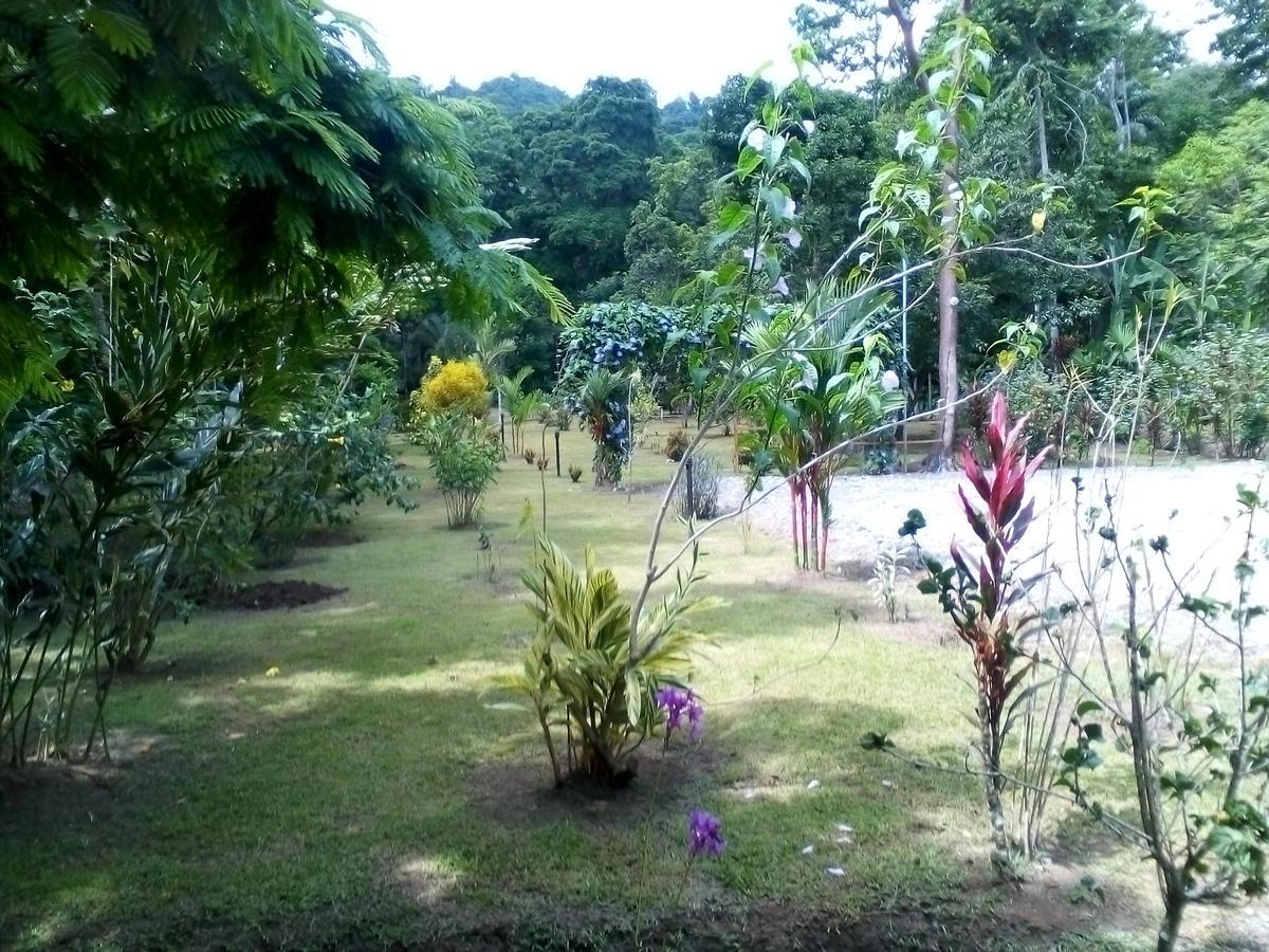 Puerto Vargas lodge Cahuita Exterior foto